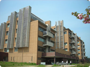 truong dai hoc niigata nhat ban